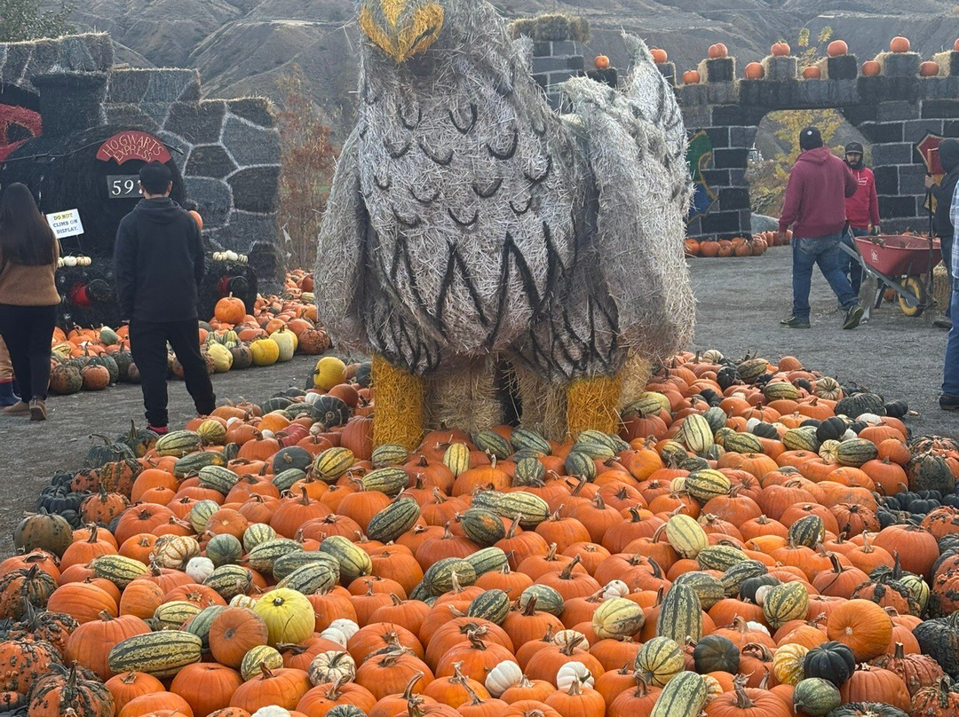 Desert Hills Ranch-Ashcroft必去景点
