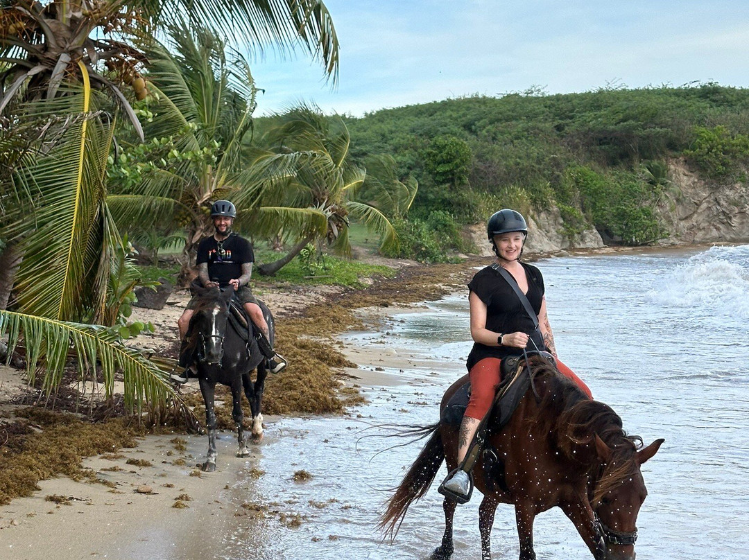 Esperanza Riding Company-维切克岛必去景点