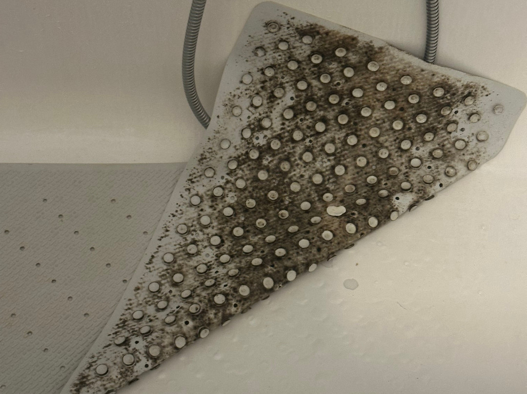 Olympia Palace Hotel主图