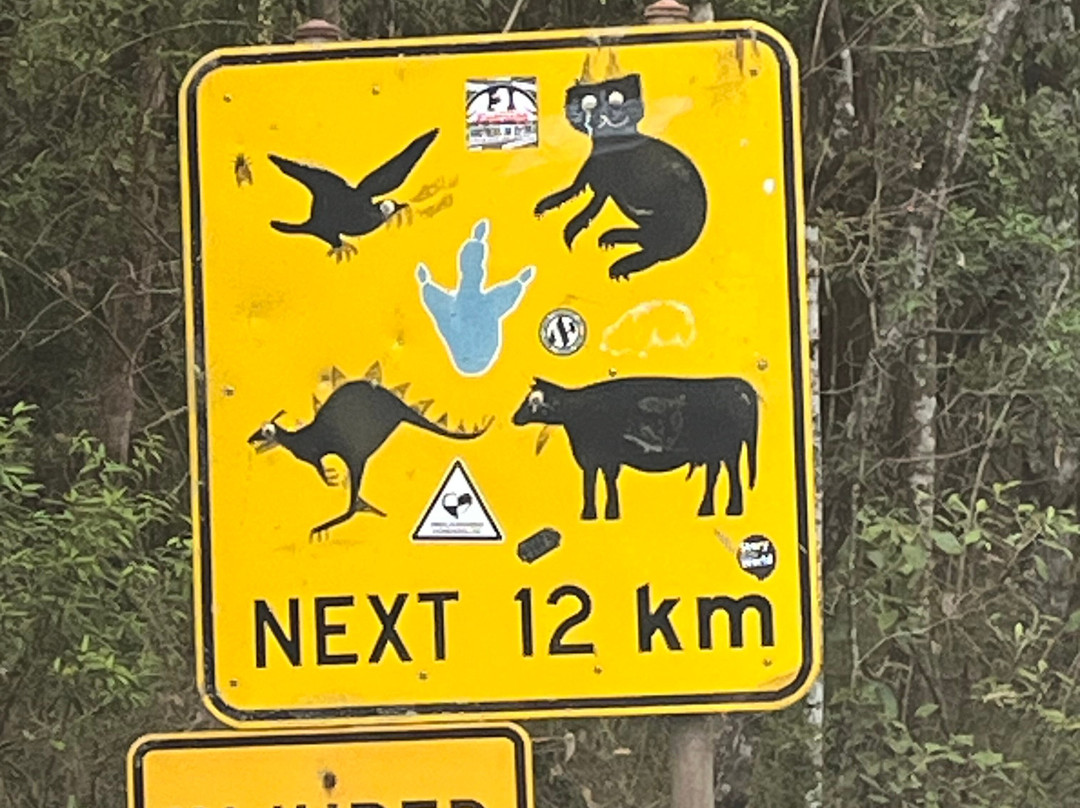 Great Otway National Park-Cape Otway必去景点