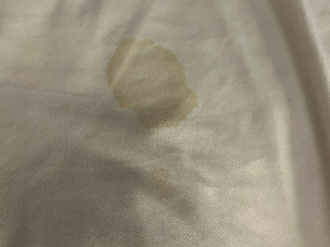 Super 8 by Wyndham Danville主图