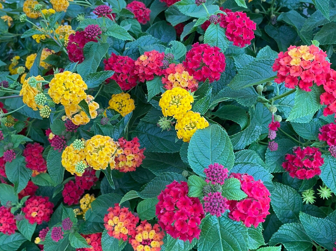 B & B Uddastri Retreat主图