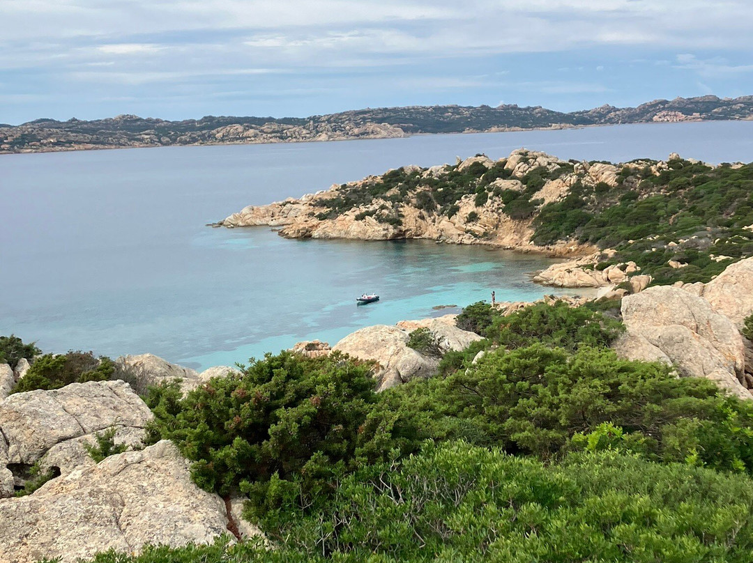 Cala Napoletana-Caprera必去景点
