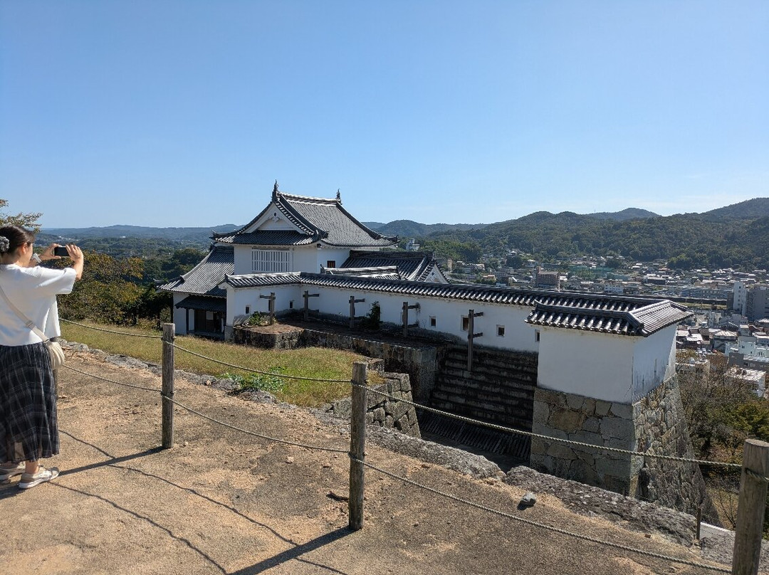 Tsuyama Castle (Kakuzan Park)-津山市必去景点
