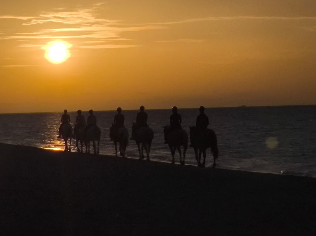 Erika's Horse Farm Kos-Marmari必去景点