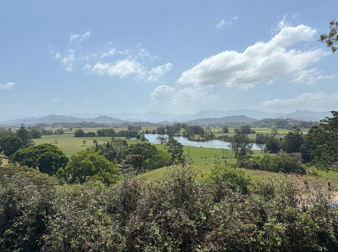 Apex Dining - Tweed Regional Gallery