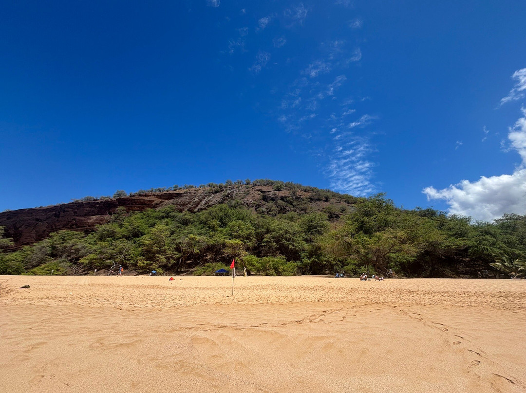 Makena State Park-维雷亚必去景点