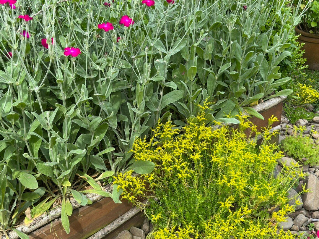 Jardim Secreto Ville de France-Urubici必去景点