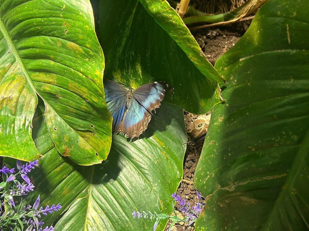 Dingle Oceanworld Aquarium-丁格尔必去景点