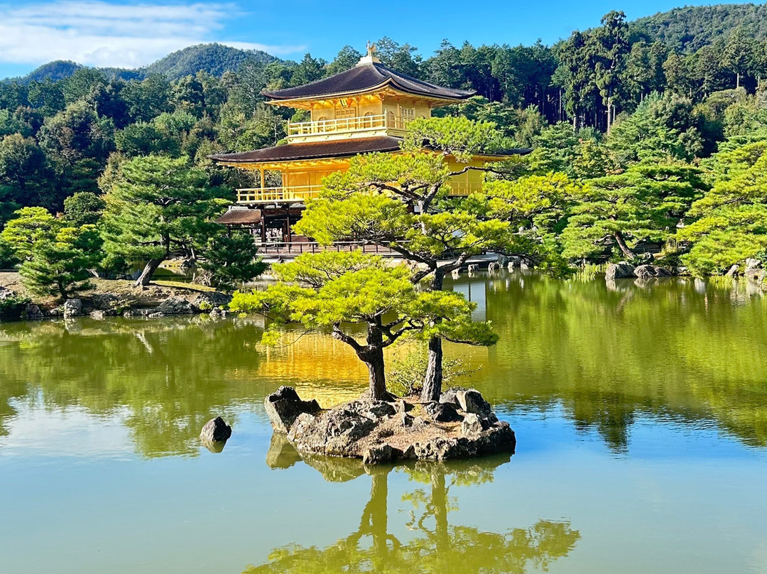 Mountain Travel Sobek-埃默里维尔必去景点