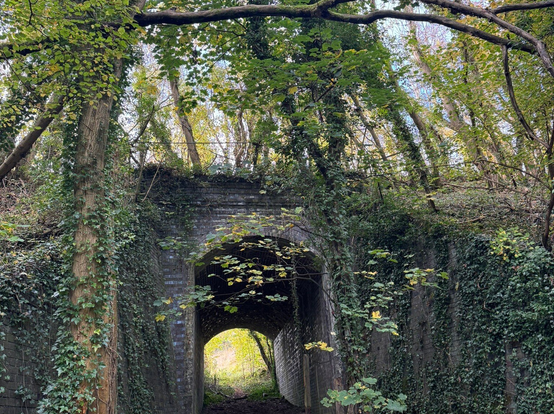 Holly House B&B主图