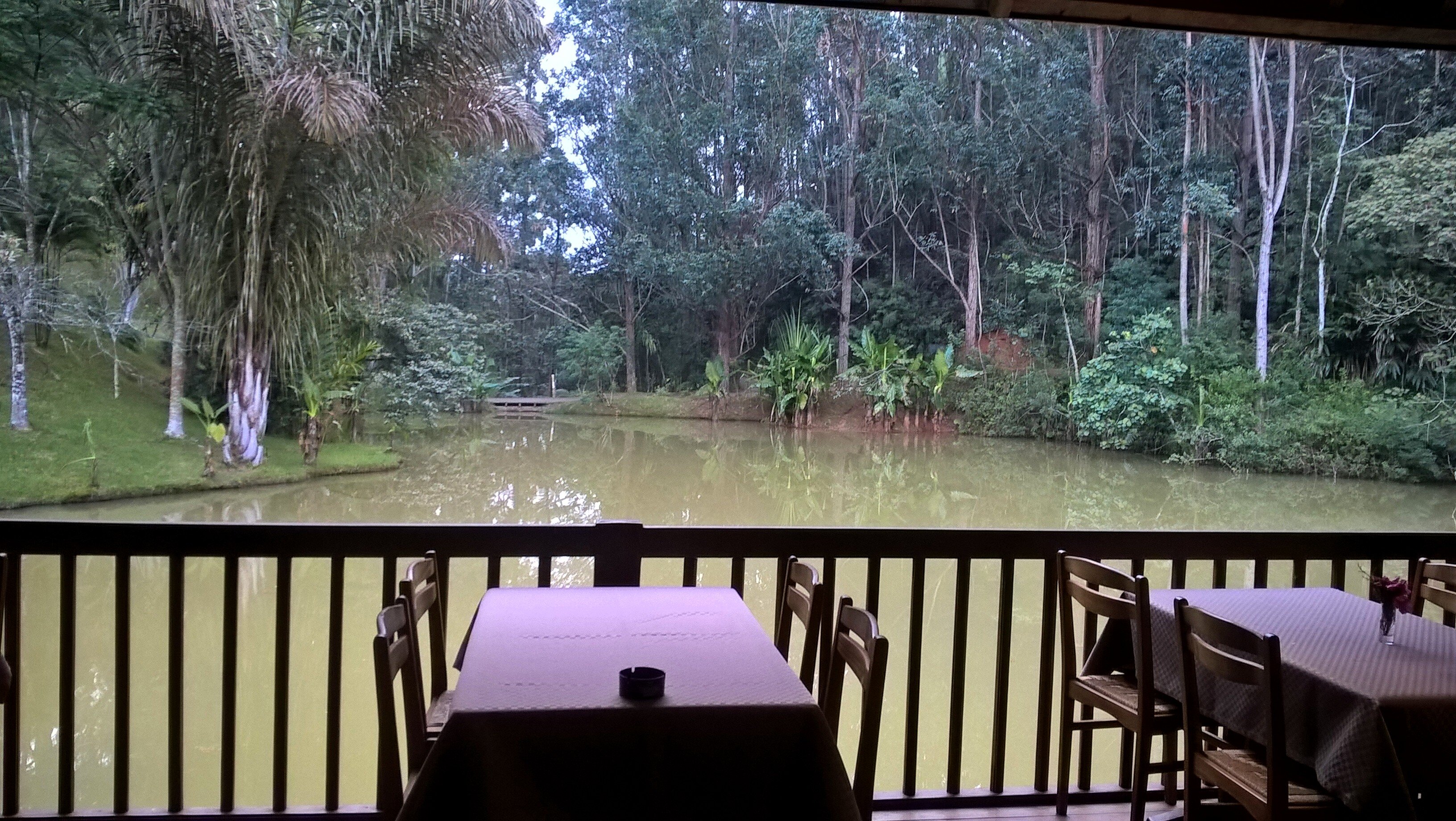 Vakona Forest Lodge-官方