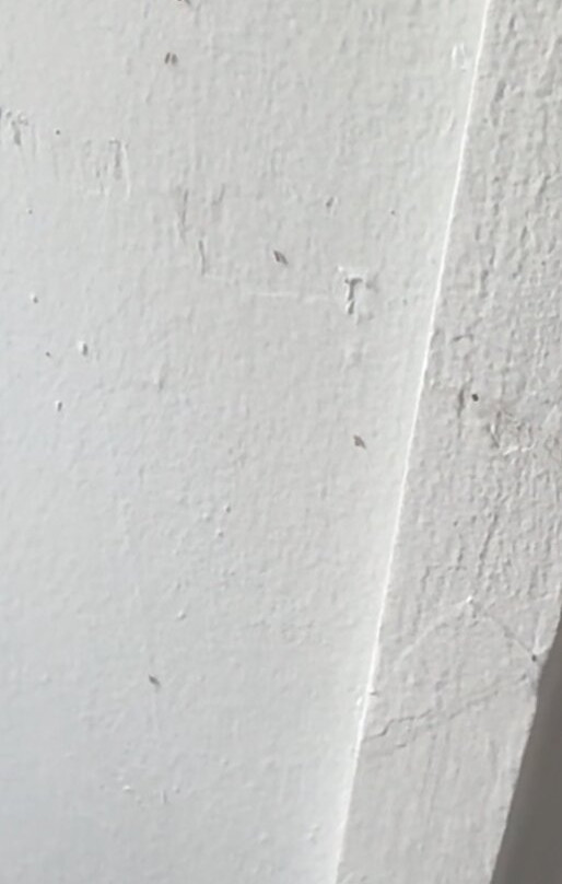 Kohea Kai Hotel Maui主图