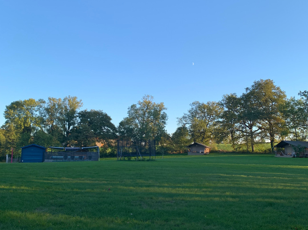 Les Savonniers主图