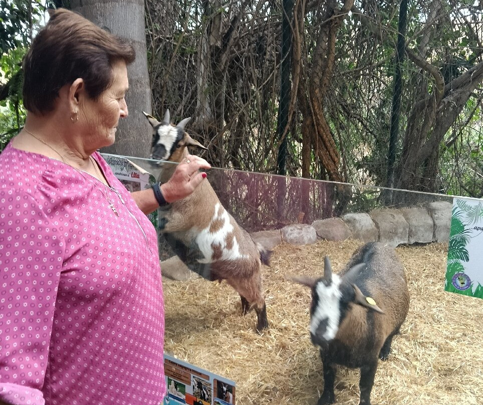 Maroparque Isla de La Palma-Brena Alta必去景点