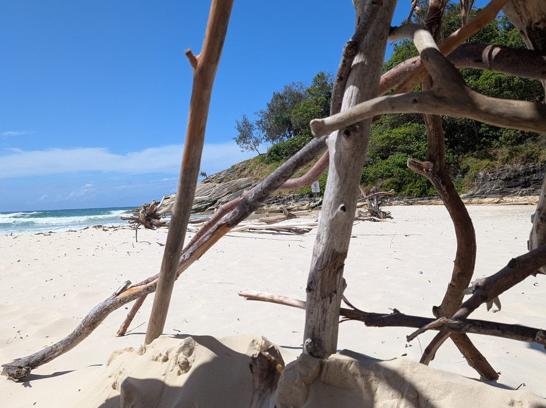 SeaLink South East Queensland-克利夫兰必去景点