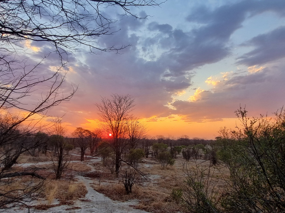 蔓威丛林营地主图
