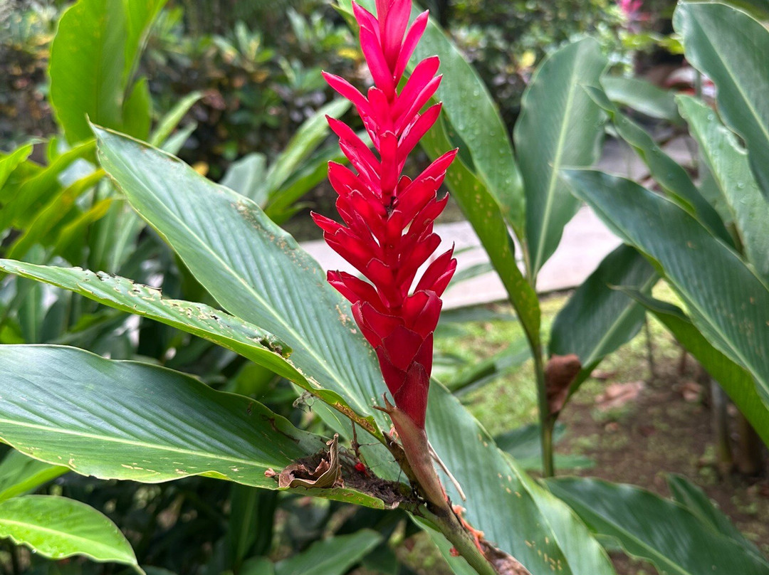 Costa Rica Dream Adventures-San Jose必去景点