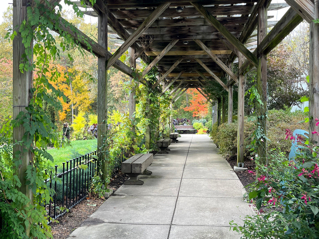 Krohn Conservatory-辛辛那提必去景点