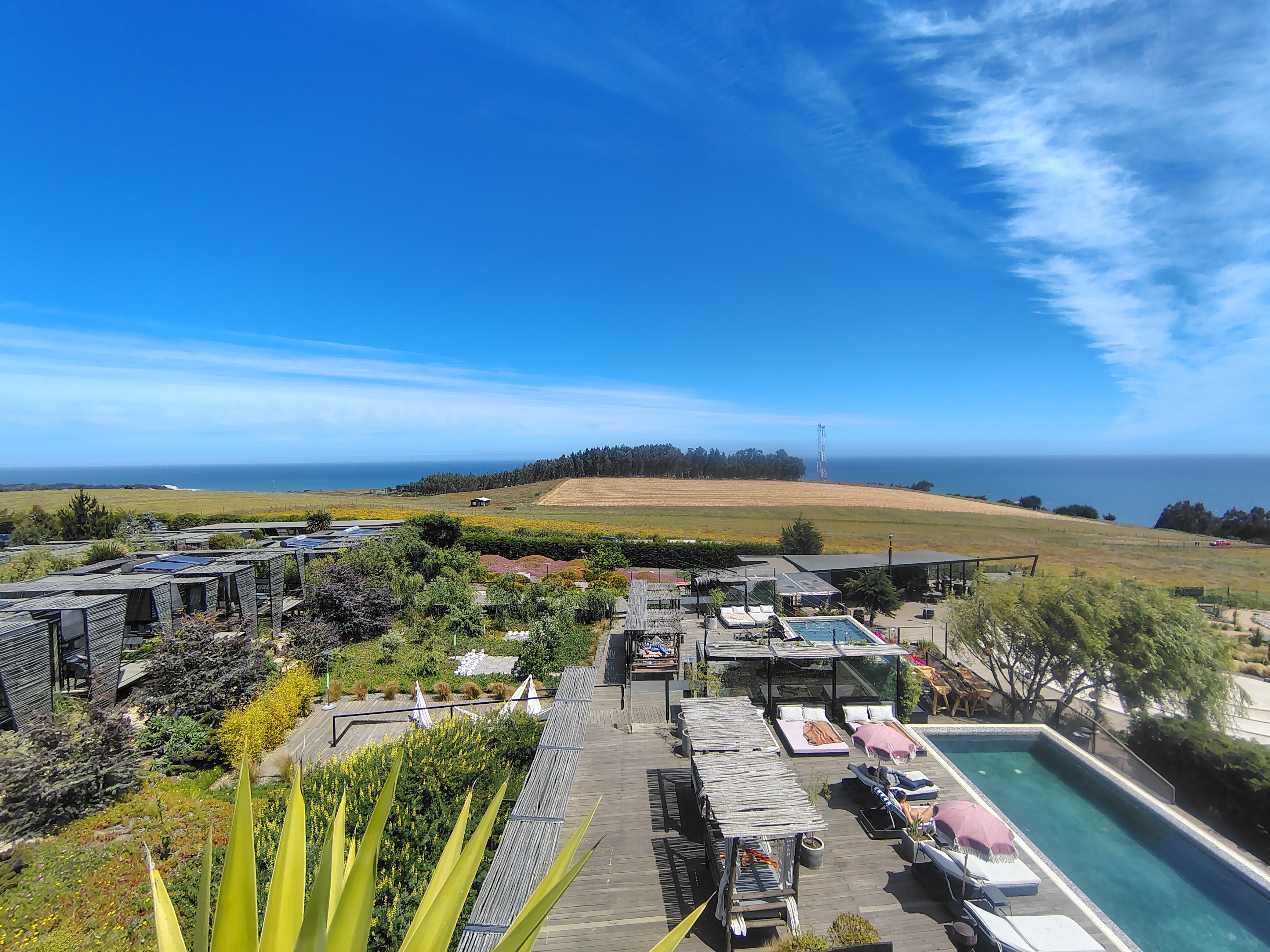 Taka Matanzas-官方