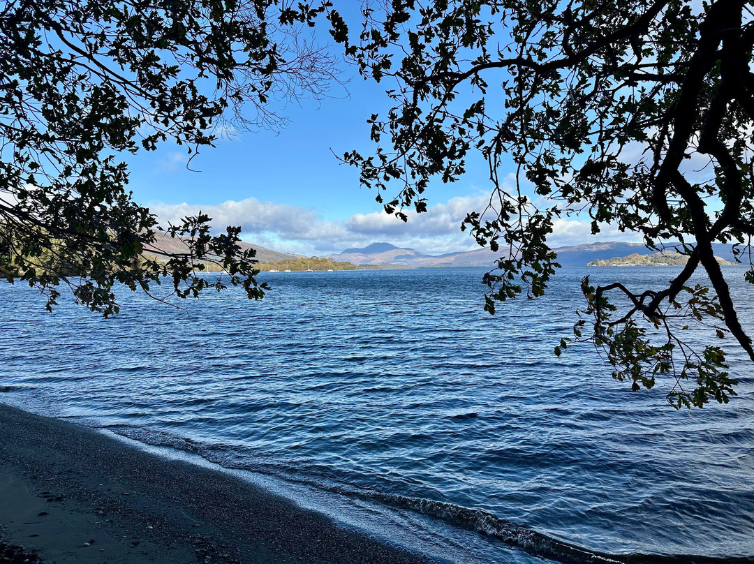 The Loch Lomond Guesthouse and Lodges