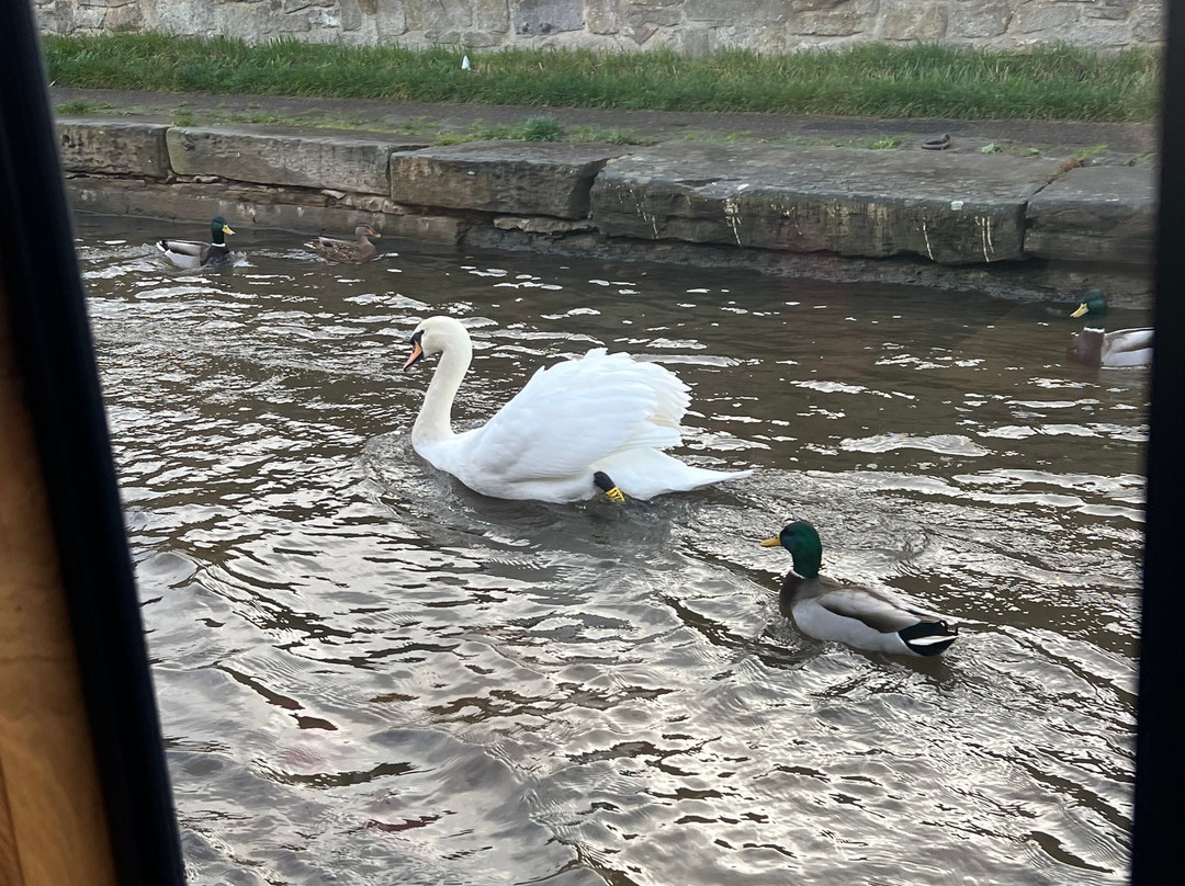 Pennine Cruisers of Skipton-斯基普顿必去景点