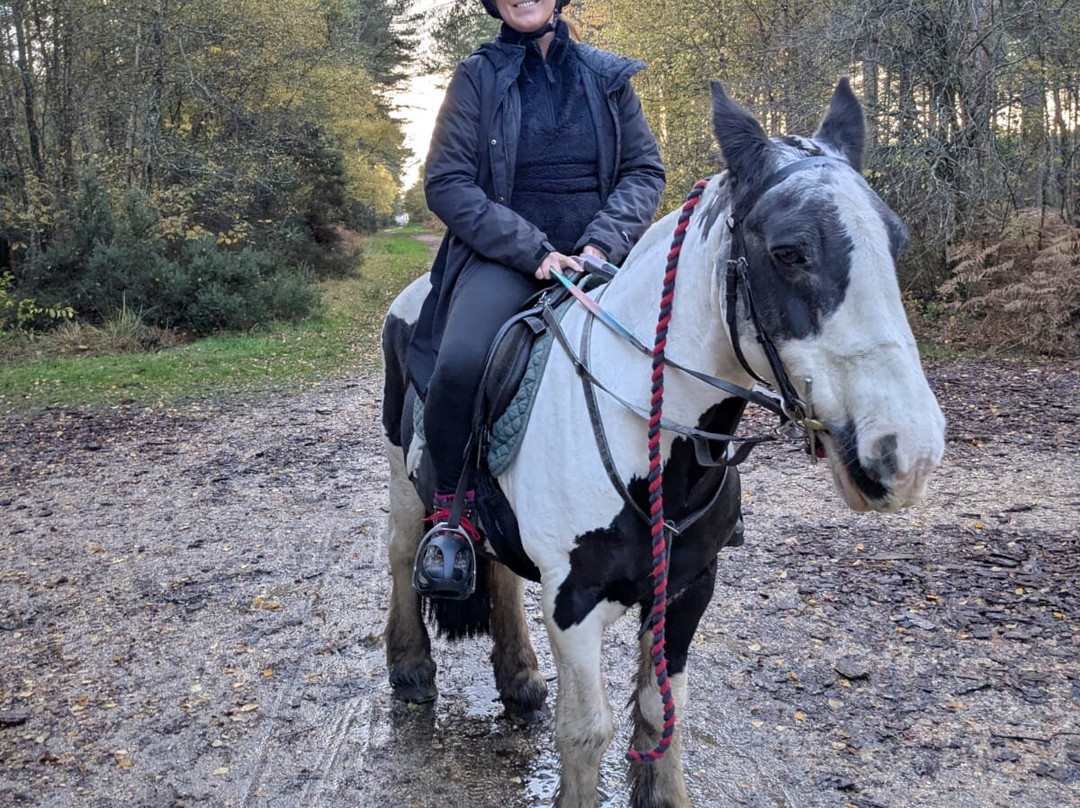 Eastmoors Forest Rides-St Leonards必去景点