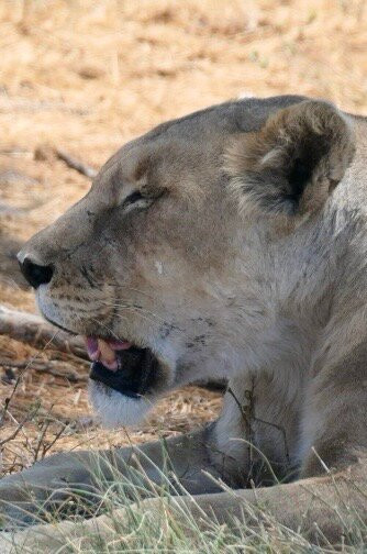 Epacha Game Lodge & Spa主图