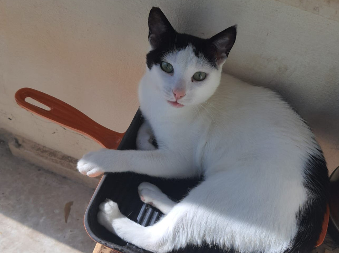 Hotel Room Escape-厄吕代尼兹必去景点