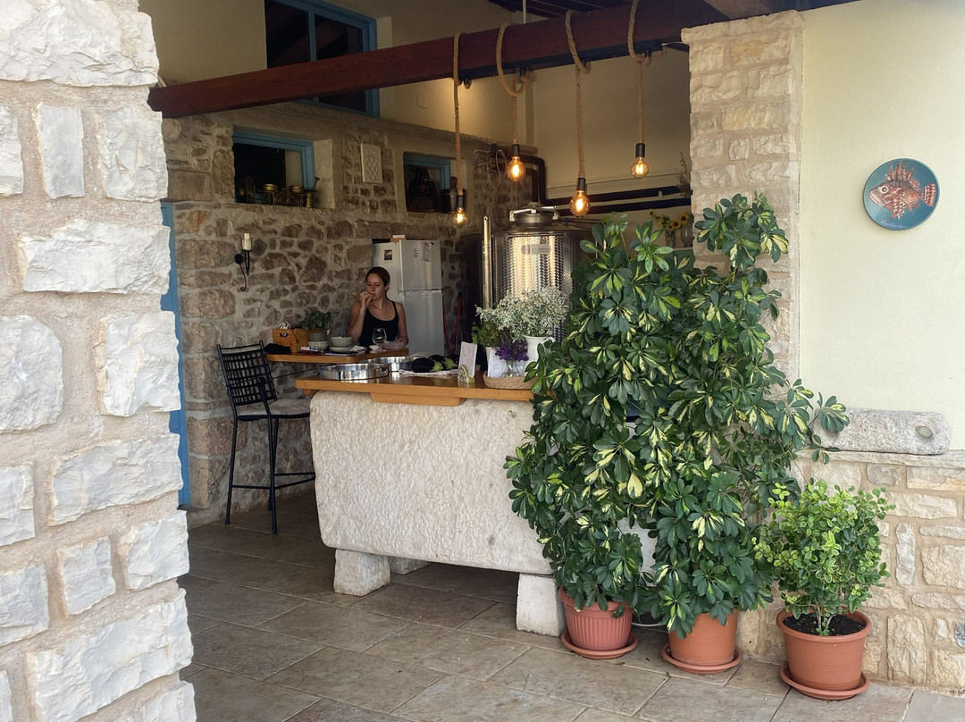 Vitis Winery-伦巴达必去景点