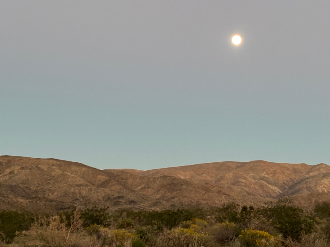 Sky's The Limit Observatory and Nature Center-二十九棕榈村必去景点