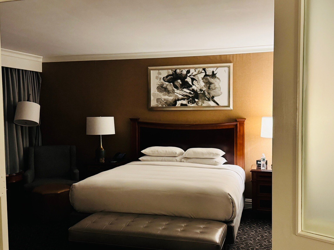 肖特希尔斯希尔顿酒店主图