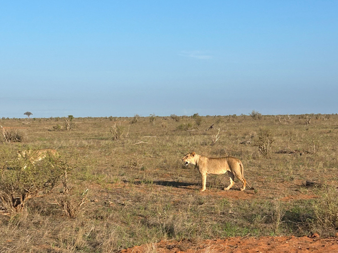 Watamu Diego Safari Day Tours-瓦塔木必去景点