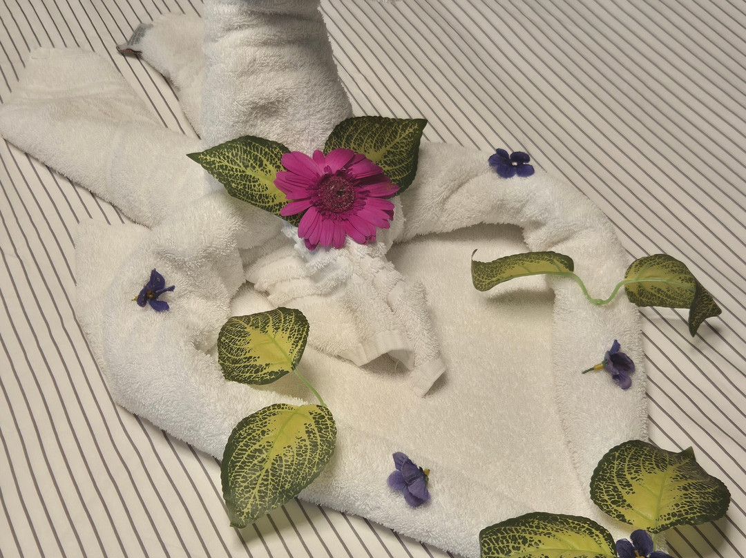 Arum Barut Collection主图