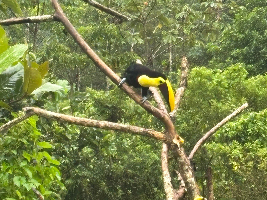 Matt's Fishing & Tours-萨迪纳尔必去景点