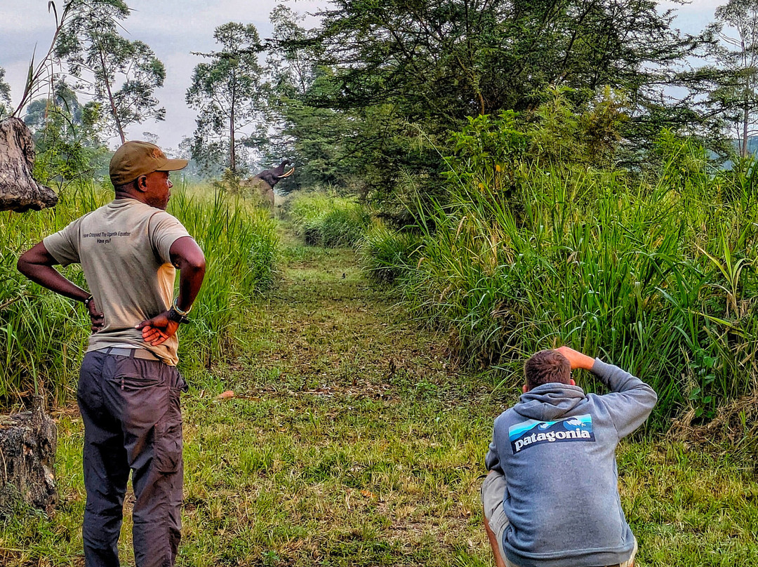 Oikos Safaris-坎帕拉必去景点