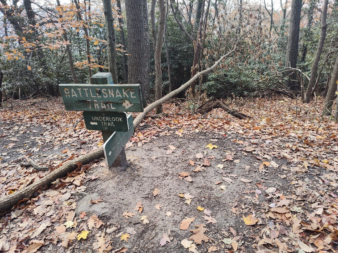 Coopers Rock State Forest-Bruceton Mills必去景点