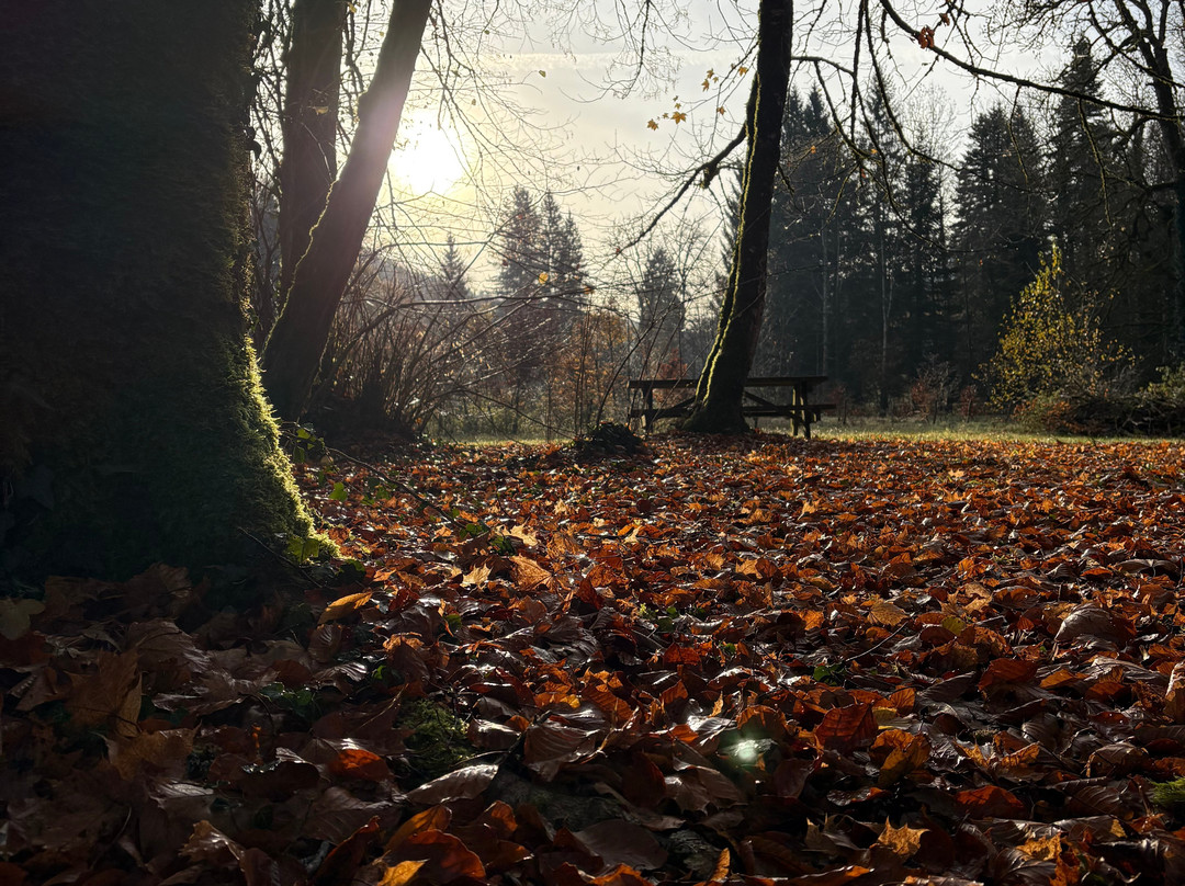 Domaine de Syam主图