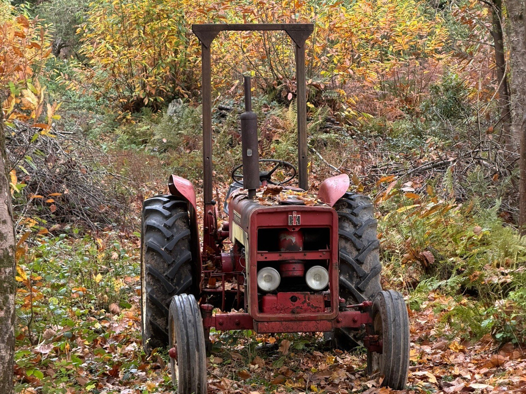 Terra Vitum-Midhurst必去景点