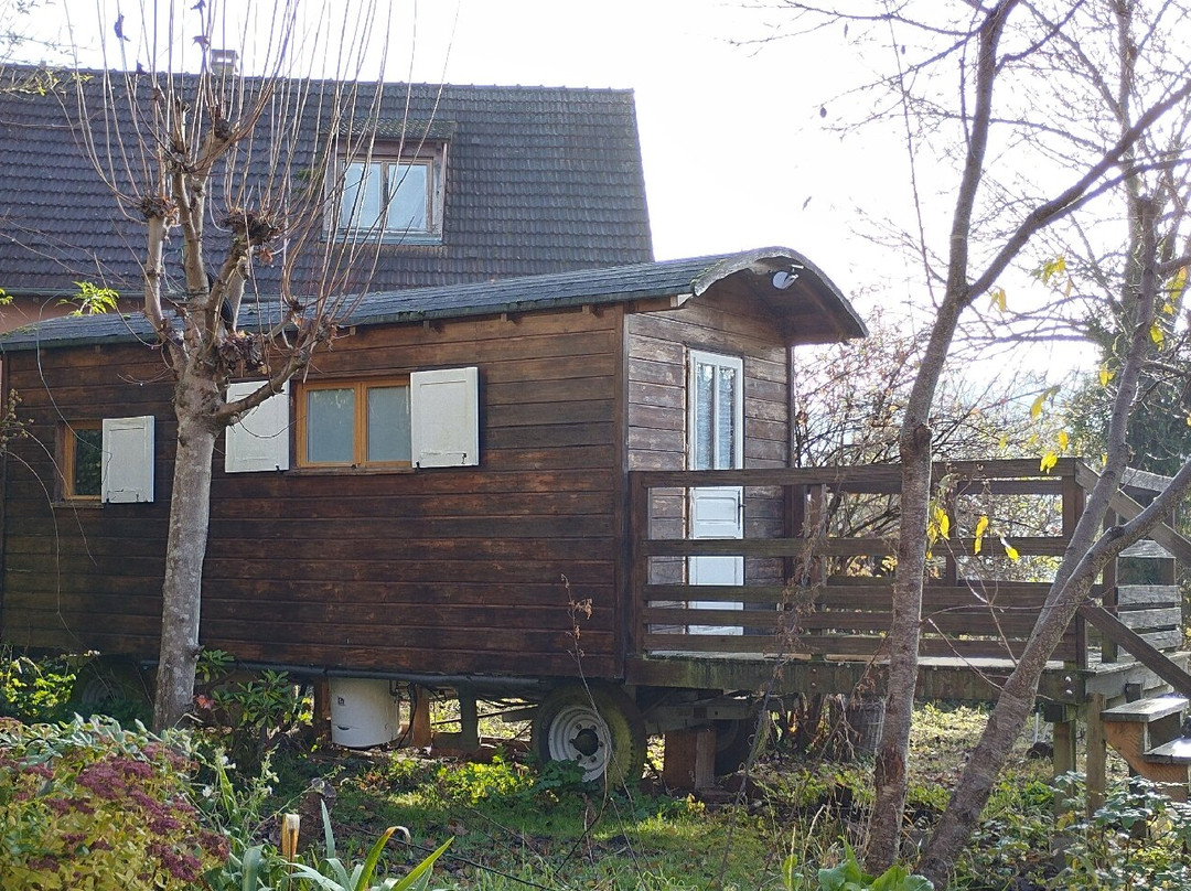 Alsace-Village主图