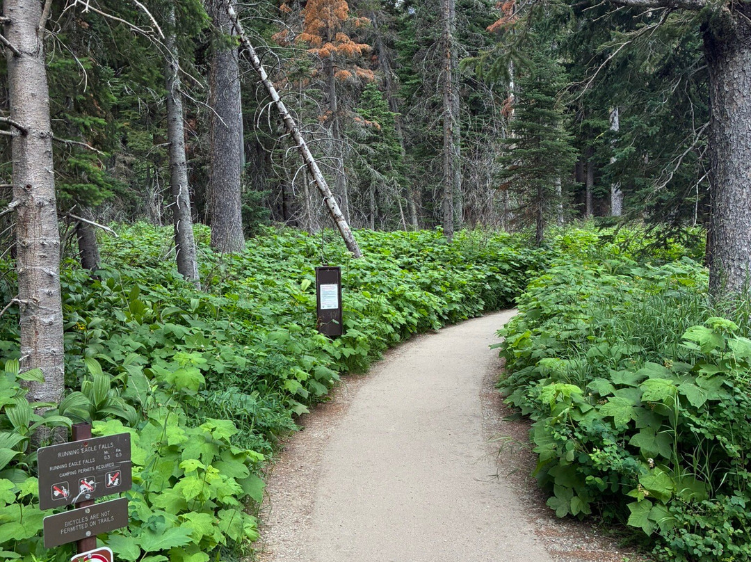 Two Medicine Lake-冰河国家公园必去景点