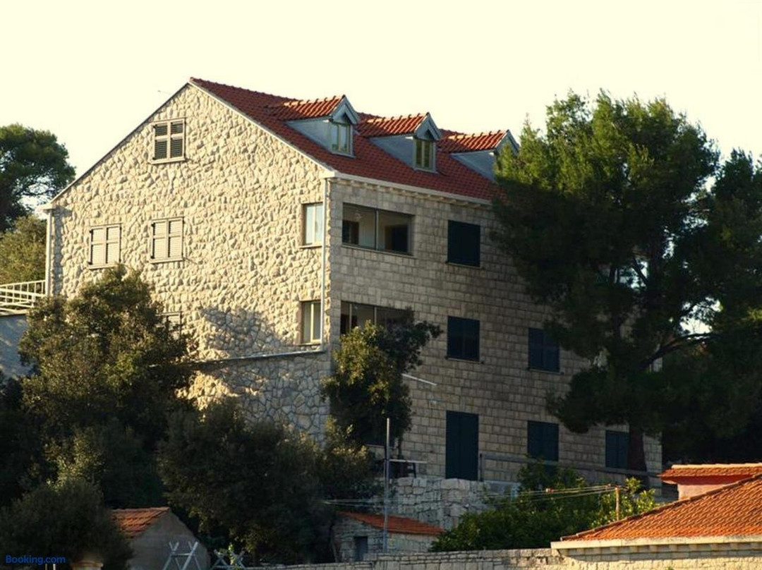 Pansion Pomena主图