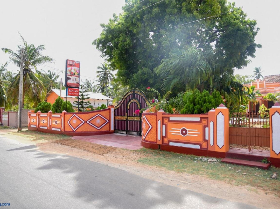 Tulip Guest Inn主图