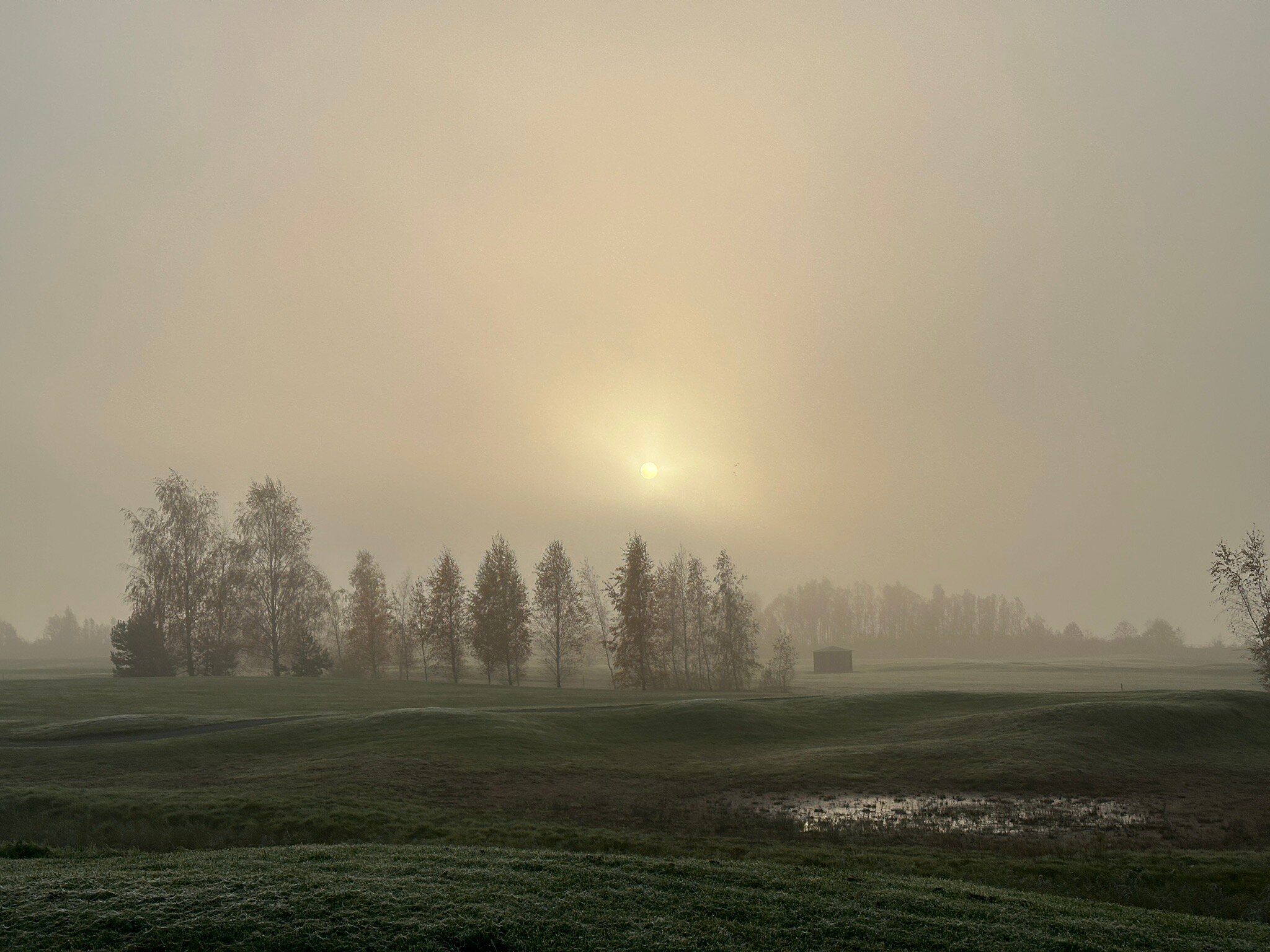 Princess Hotel Dorhout Mees-官方