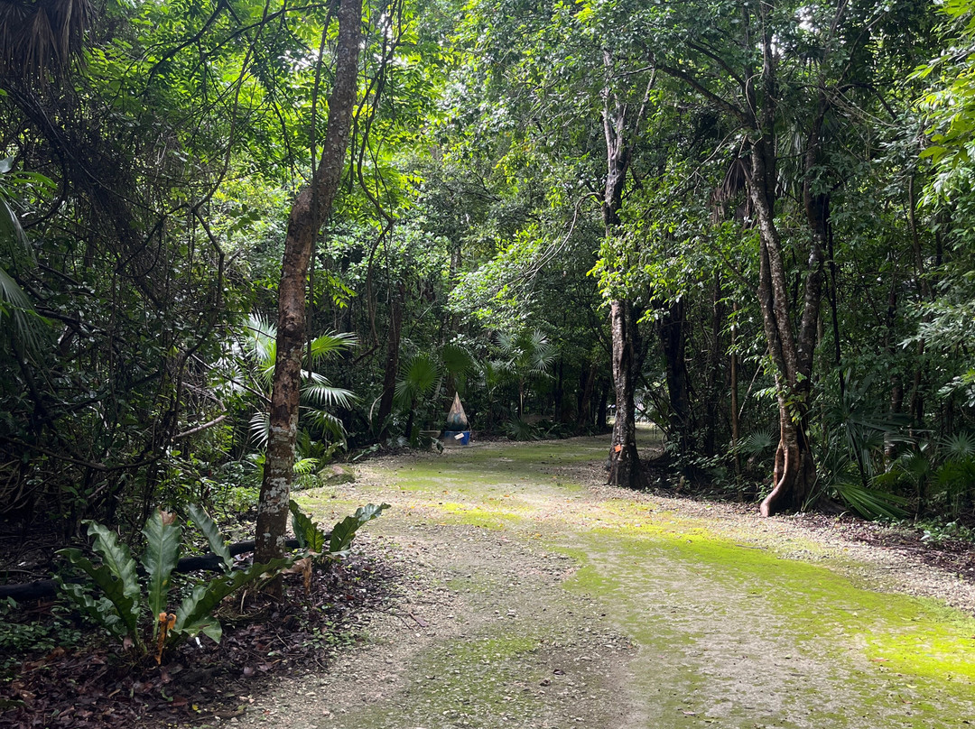 Jardín Botánico Dr. Alfredo Barrera Marin-从莫雷洛斯港必去景点