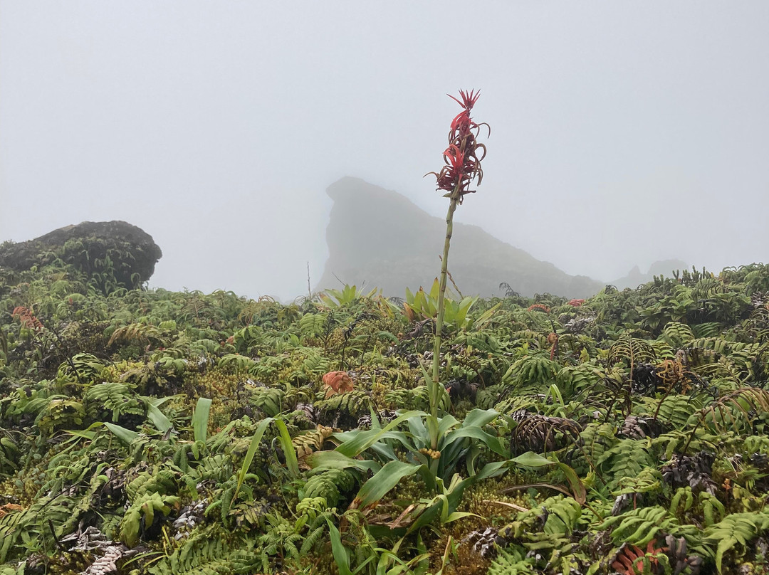 Rando A2Pas-Ducos必去景点