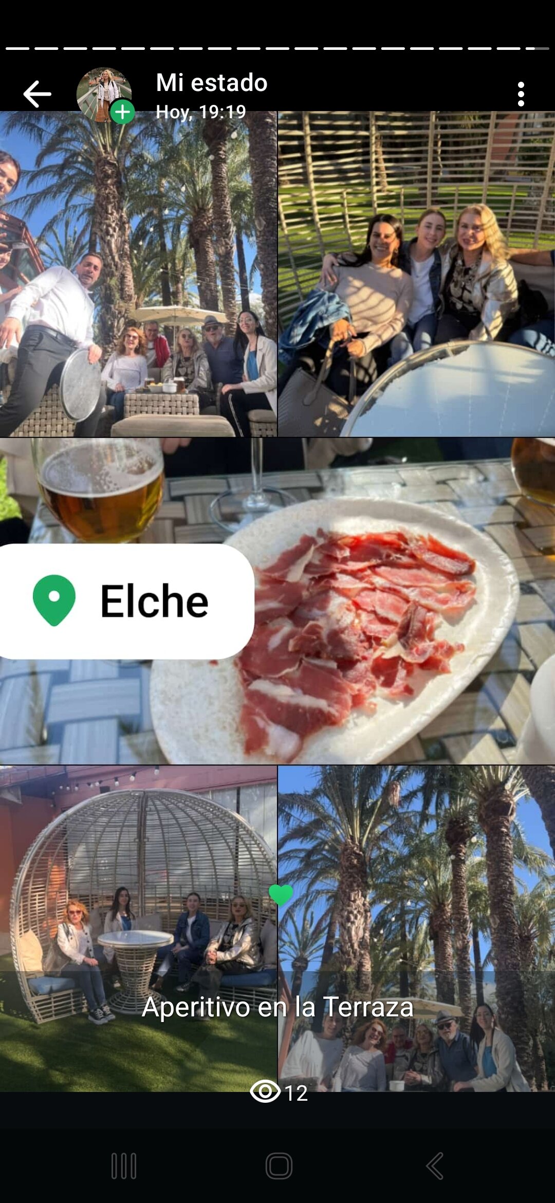 Port Jardín Milenio-官方