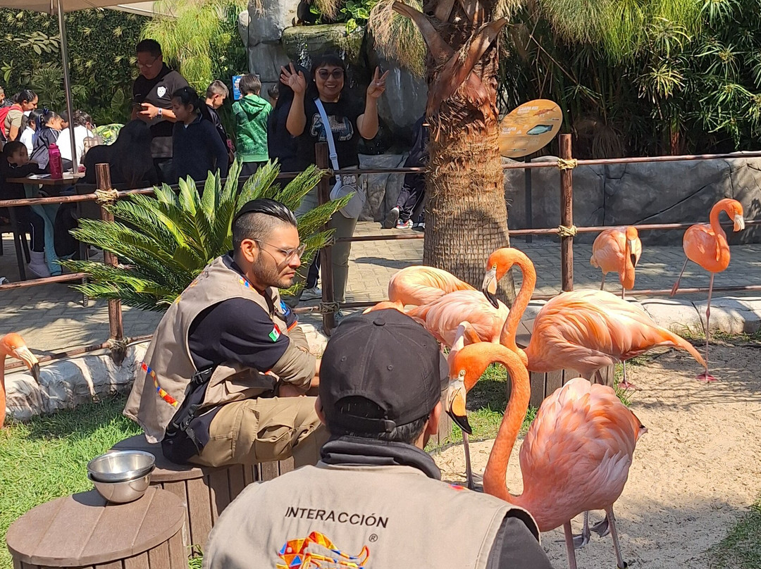 Acuario Michin Ciudad De Mexico-墨西哥城必去景点