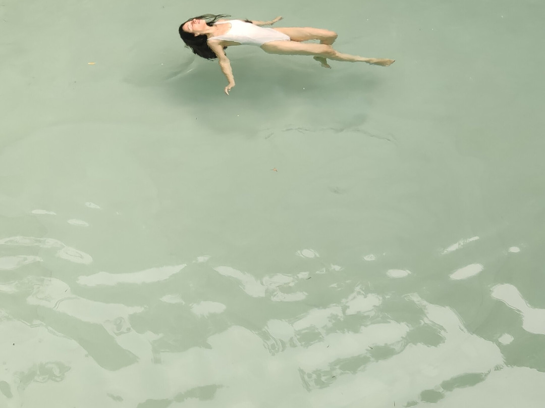 JALAPÃO OFICIAL-Palmas必去景点