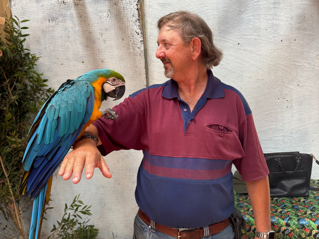 Port Stephens Animal Adventures-Bobs Farm必去景点